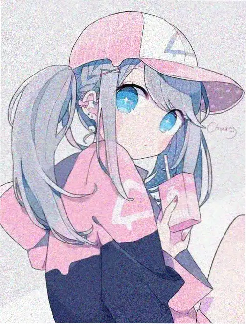 消失的她
